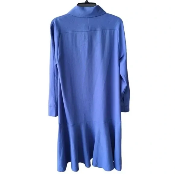 NWT $758 Tibi Blue Long Sleeve A-Line Shirt Dress size XS Overissed